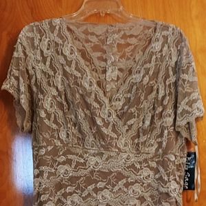 Blue Sage Knee Length Sheer dress. Size 14 Taupe color.